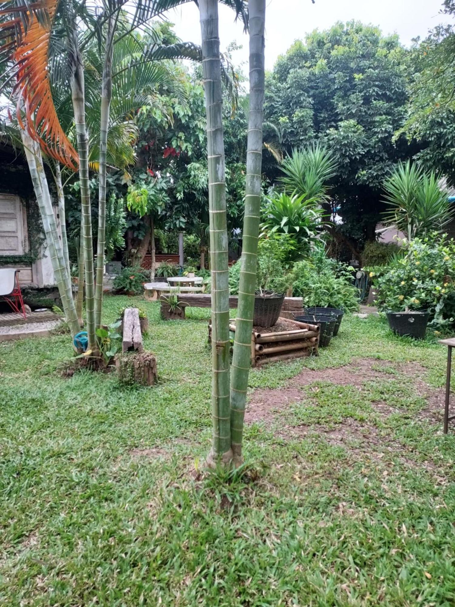 Kwanlah Homestay Mae Chaem Eksteriør bilde